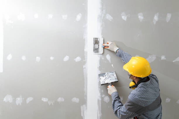 Best Mold Removal for HVAC Installations  in Loch Sheldrake, NY