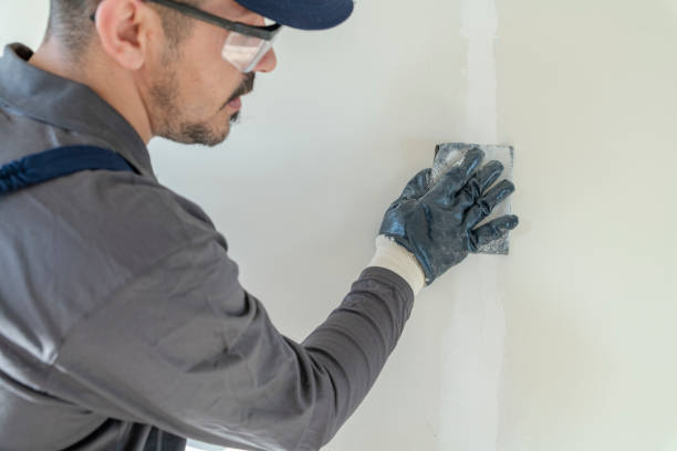 Best Water Damage & Mold Remediation  in Loch Sheldrake, NY