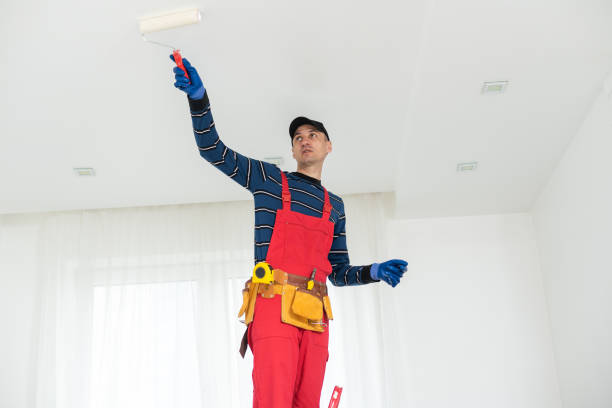 Mold Documentation for Insurance Claims in Loch Sheldrake, NY
