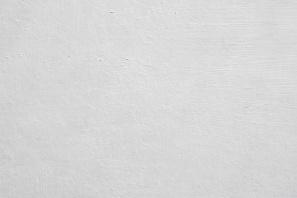  Loch Sheldrake, NY Mold Removal Pros